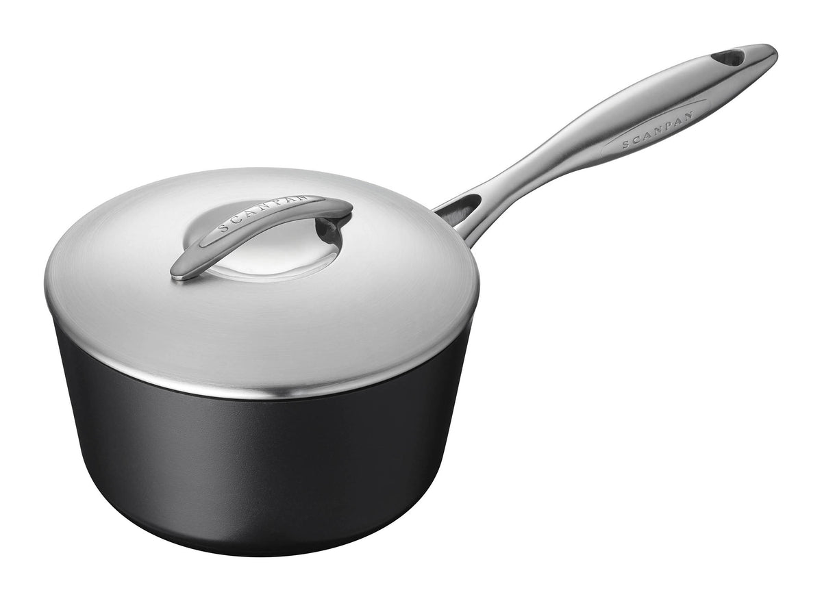 PROFESSIONAL Saucepan